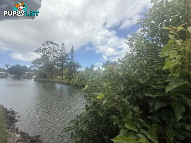 1MV/37 Chinderah Bay Dr CHINDERAH NSW 2487