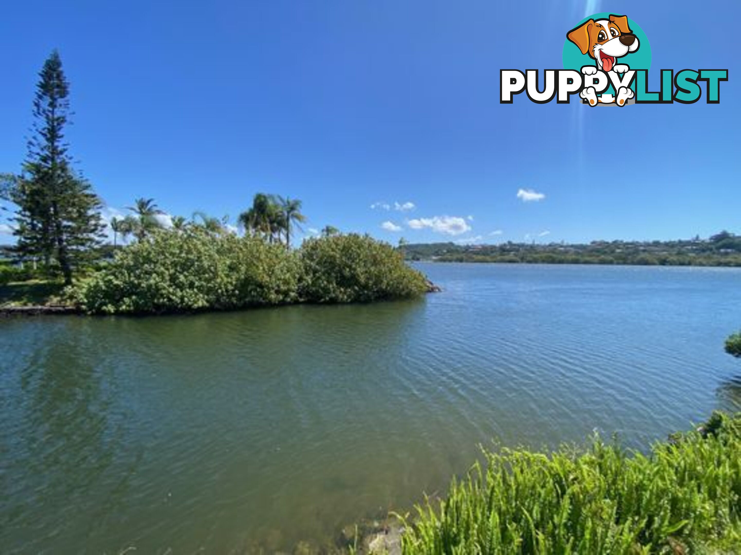 1MV/37 Chinderah Bay Dr CHINDERAH NSW 2487