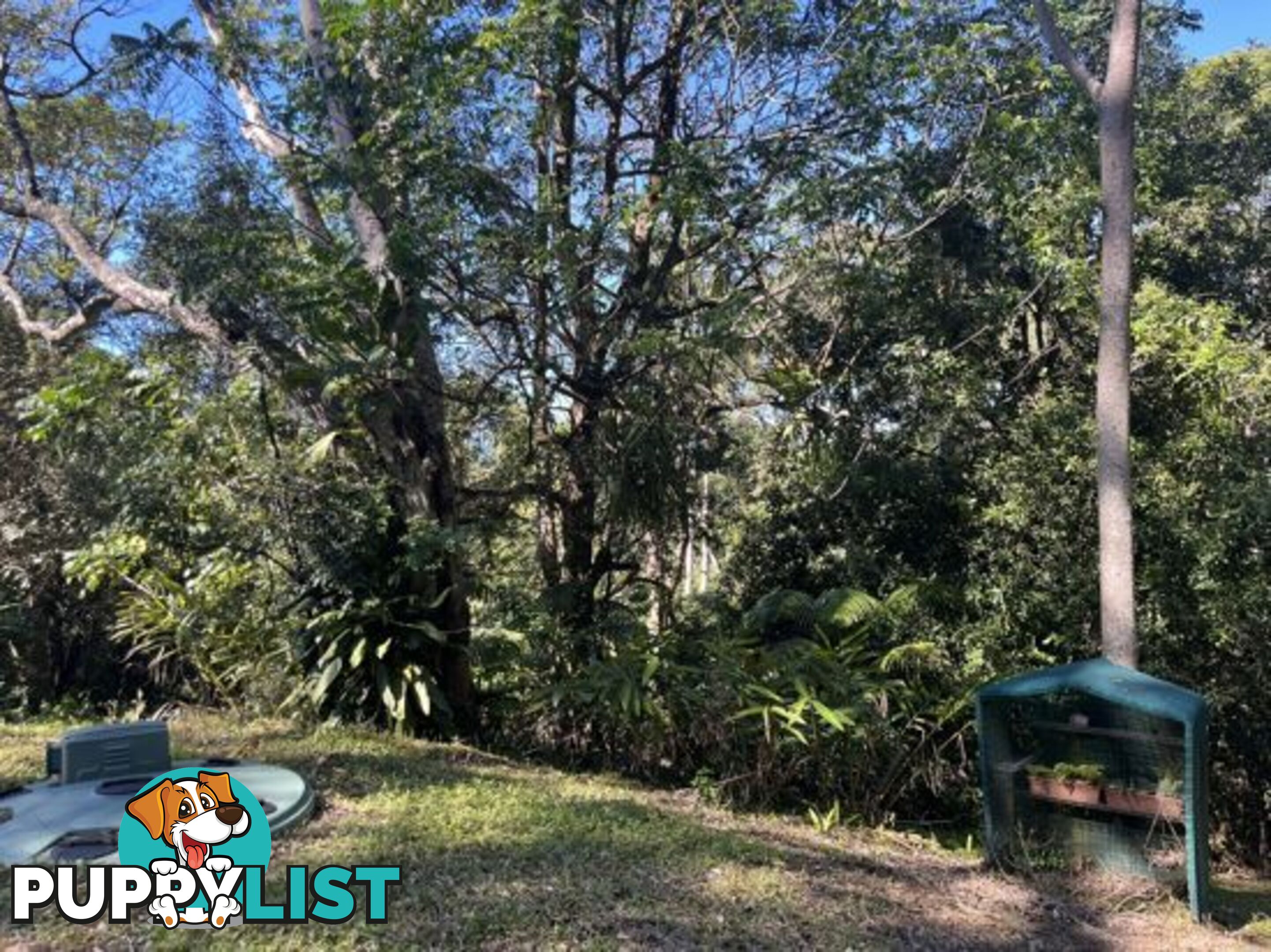 30 McDonalds Rd CAROOL NSW 2486