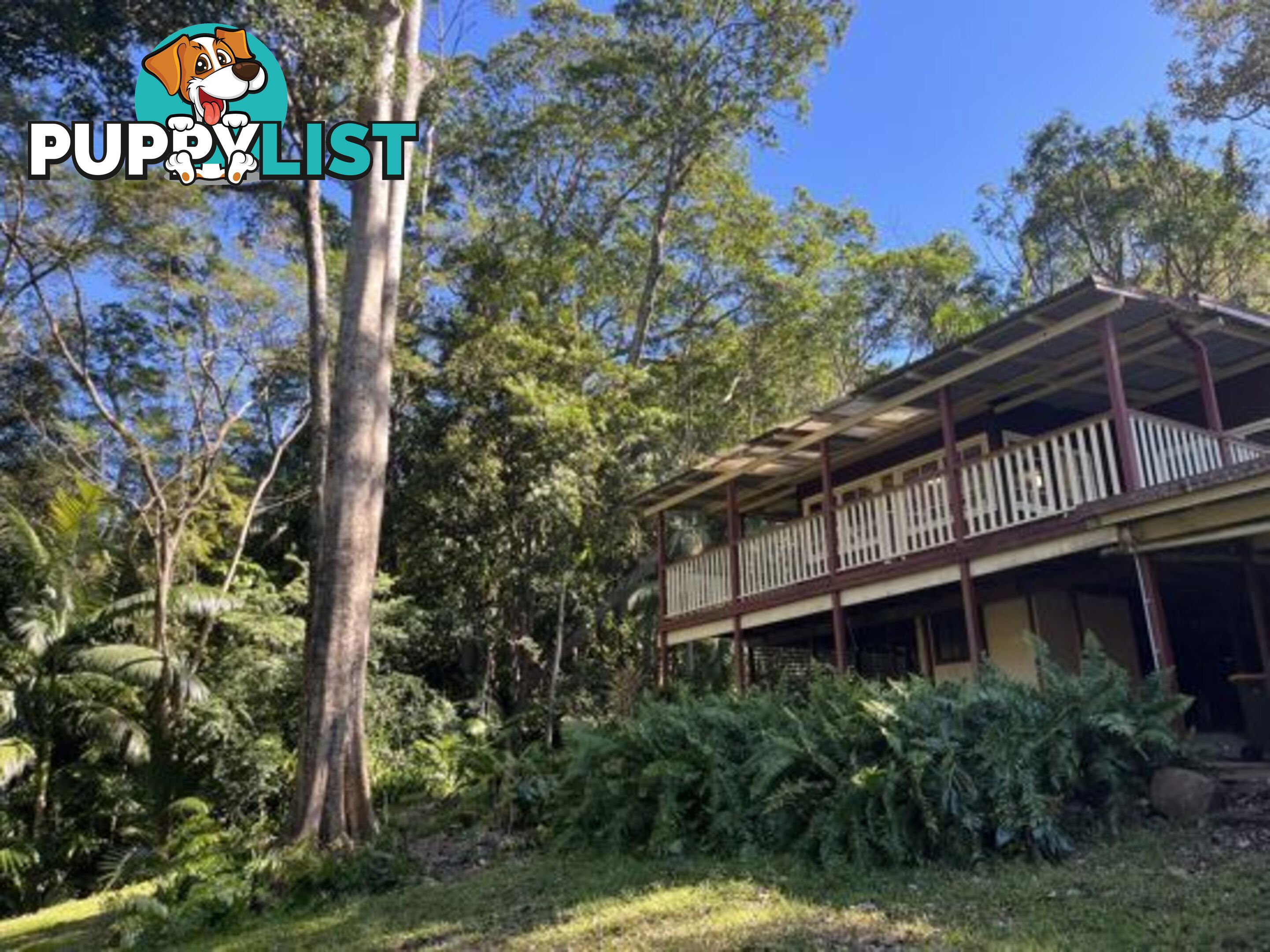 30 McDonalds Rd CAROOL NSW 2486