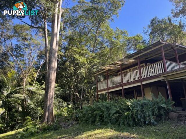 30 McDonalds Rd CAROOL NSW 2486