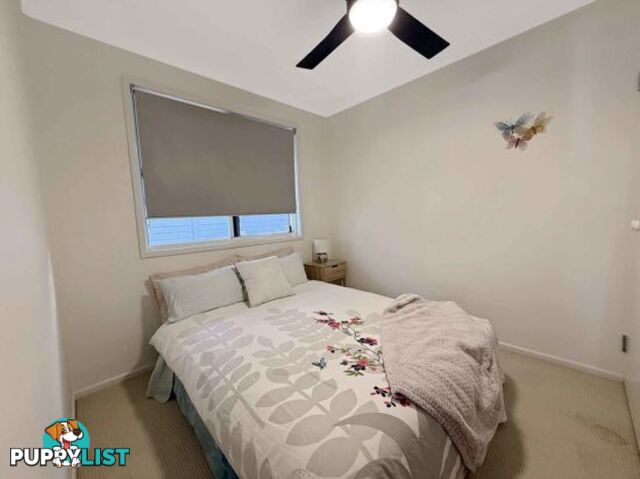 239/112 Dry Dock Road TWEED HEADS SOUTH NSW 2486