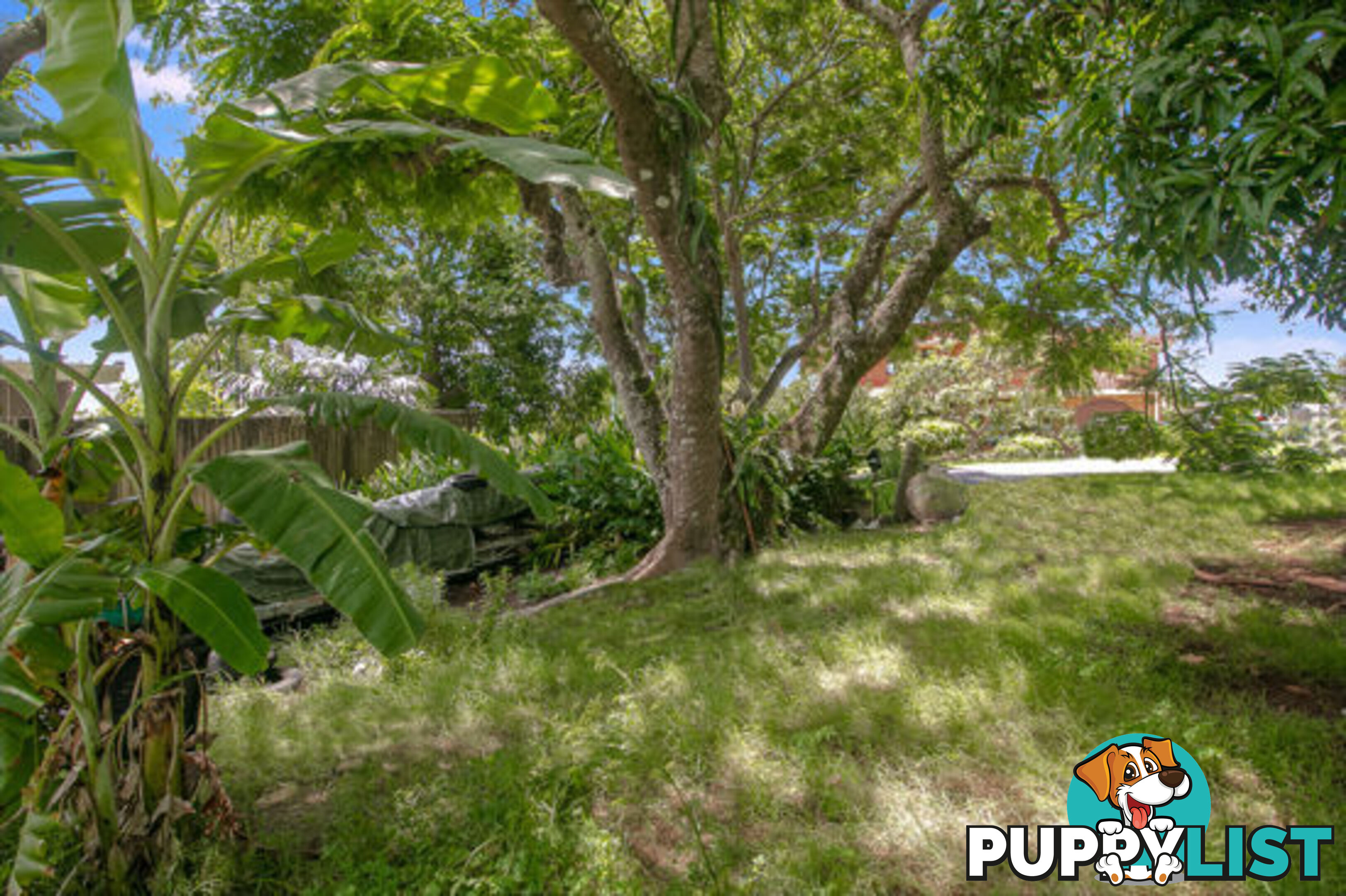 3 Diane Crescent BILAMBIL HEIGHTS NSW 2486