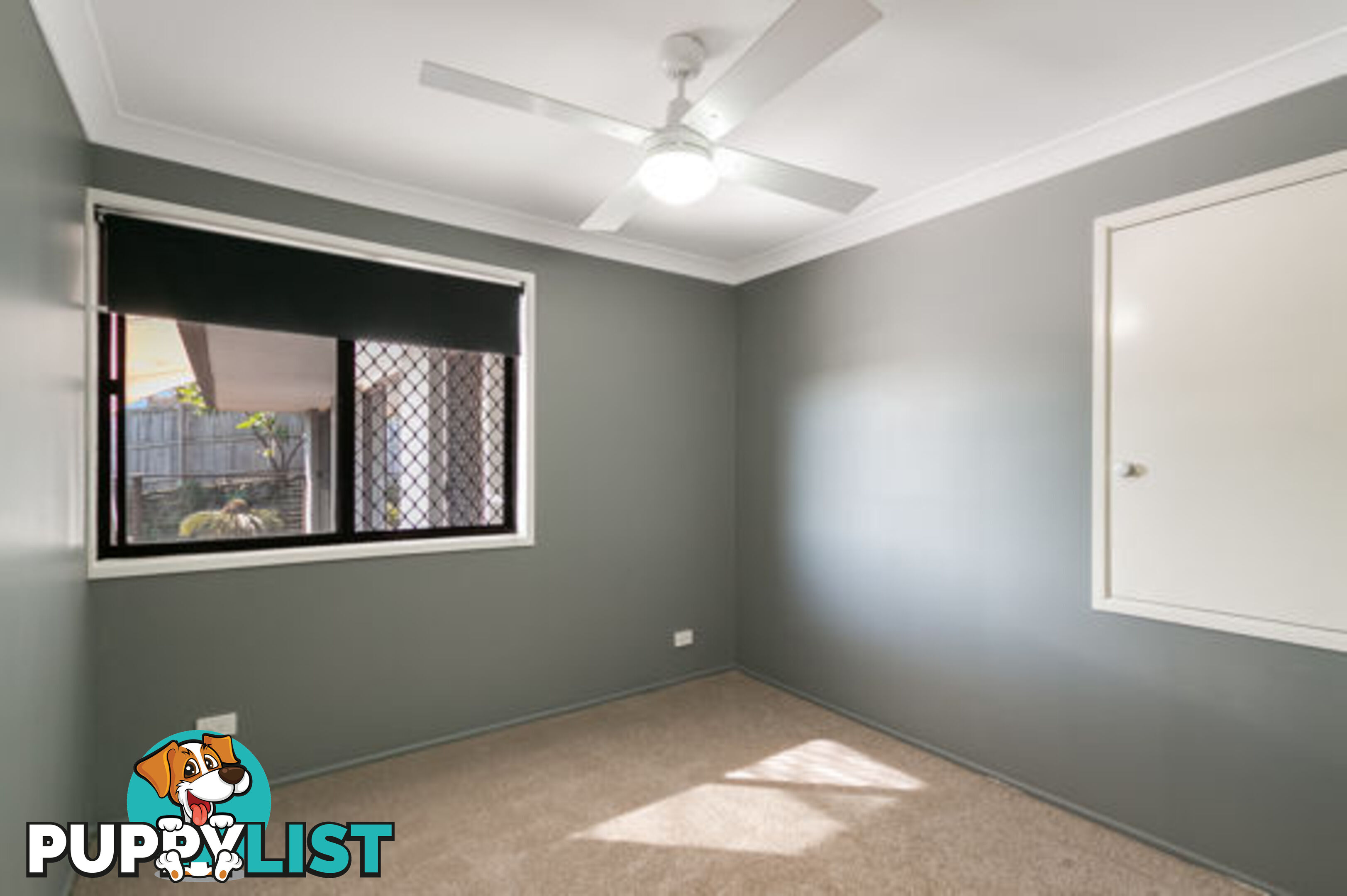 46 Cominan Avenue BANORA POINT NSW 2486