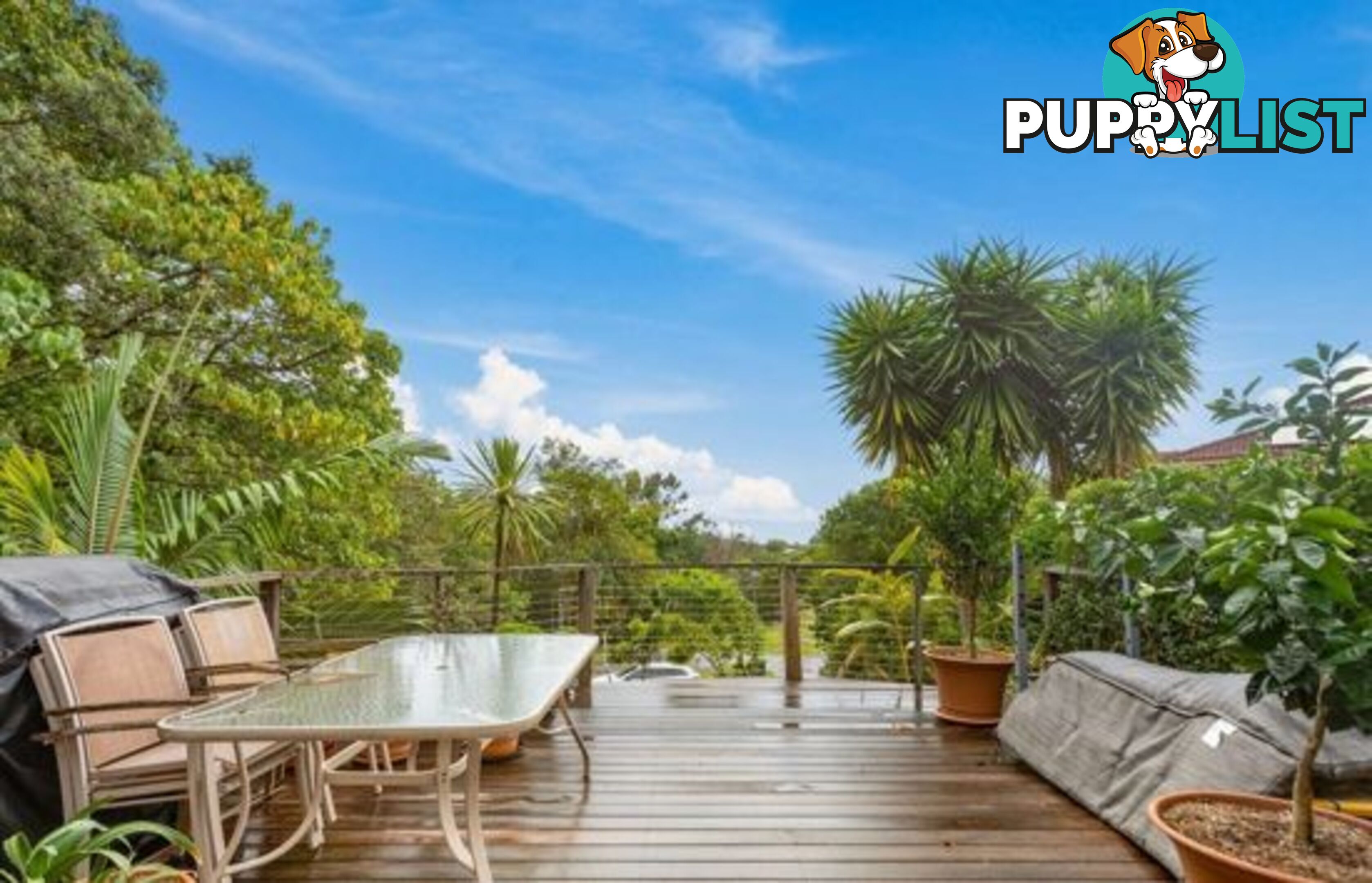 11 Bolwarra Place BILAMBIL HEIGHTS NSW 2486