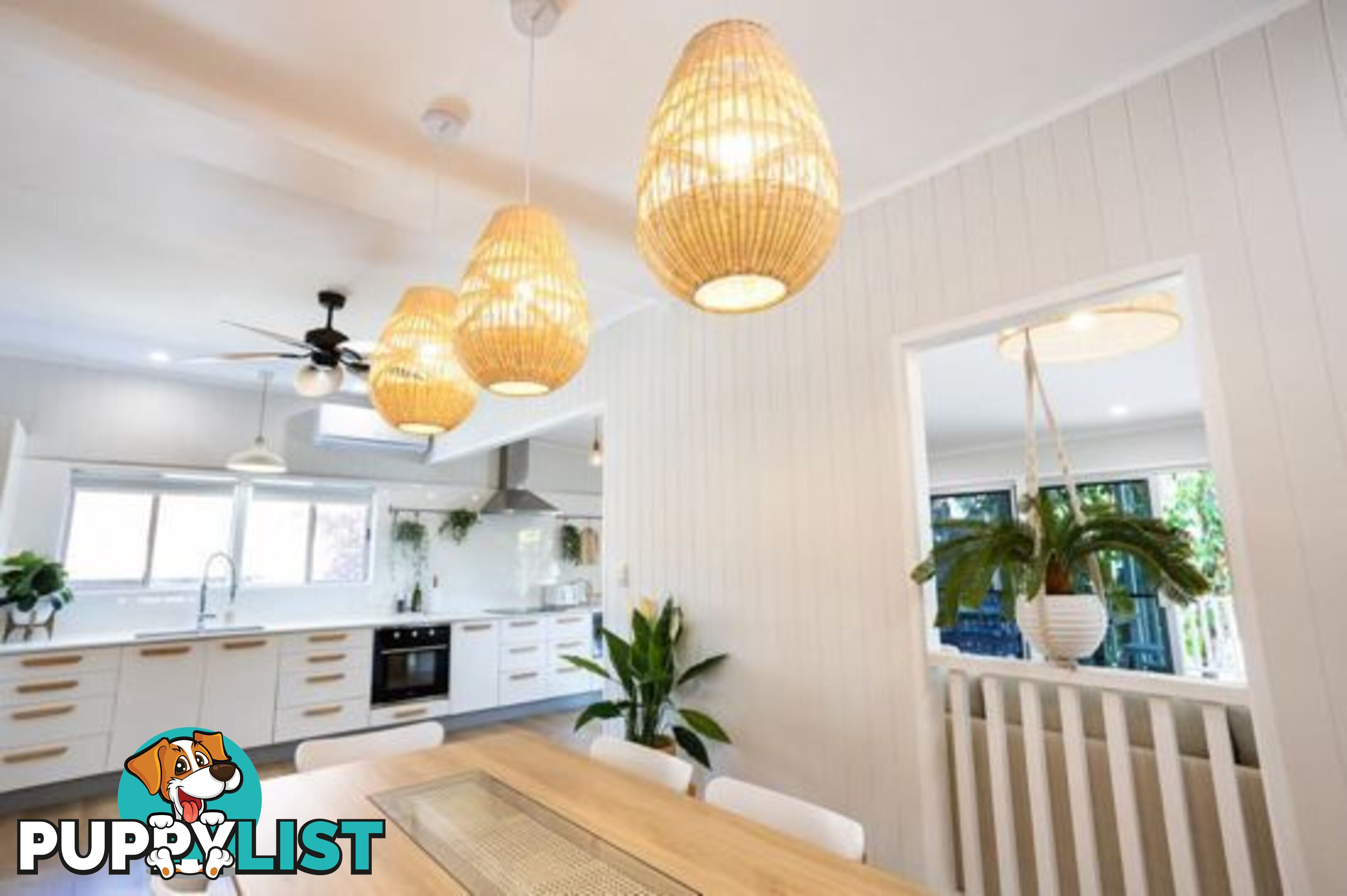 17 Boundary Street CURRUMBIN WATERS QLD 4223