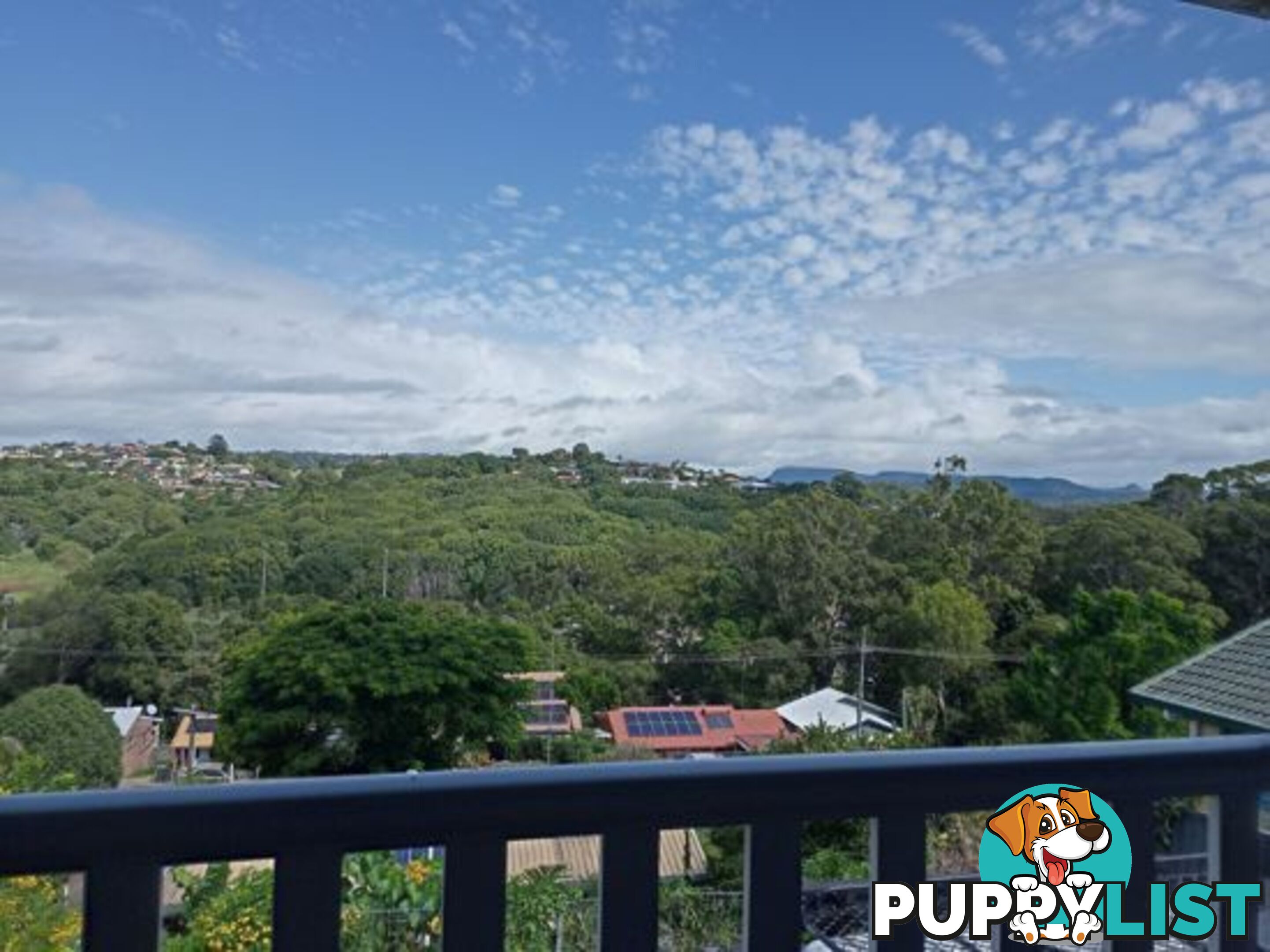 25 Lalina Ave TWEED HEADS WEST NSW 2485