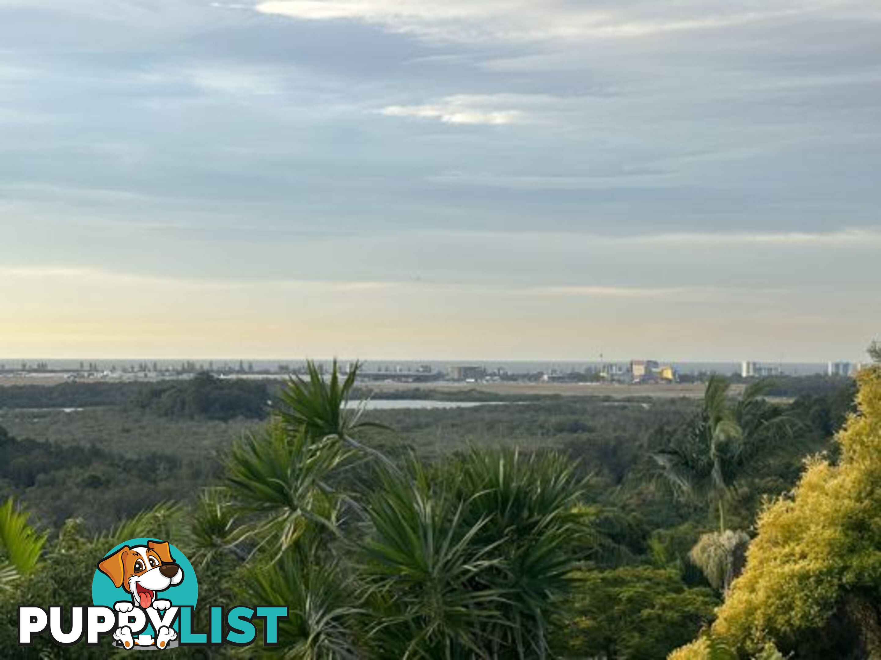 25 Lalina Ave TWEED HEADS WEST NSW 2485