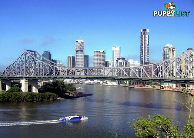 BRISBANE QLD 4000