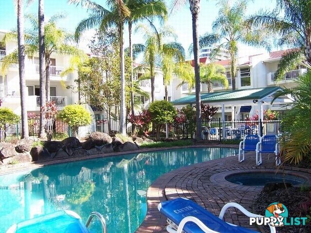 17 Genoa Street SURFERS PARADISE QLD 4217