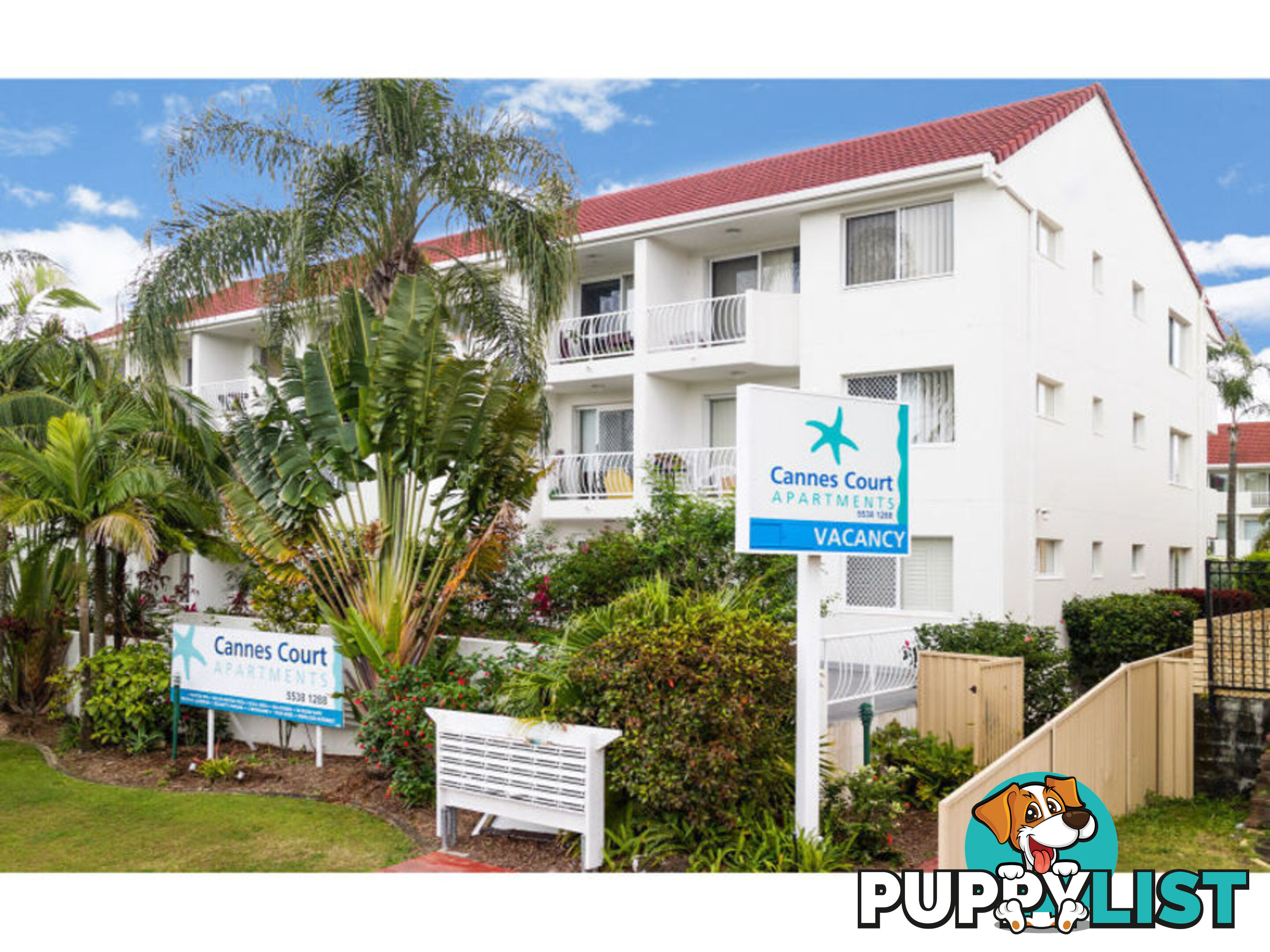 17 Genoa Street SURFERS PARADISE QLD 4217