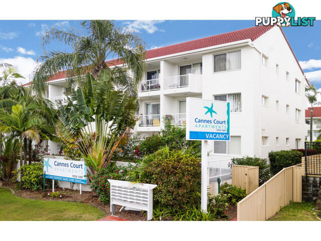 17 Genoa Street SURFERS PARADISE QLD 4217