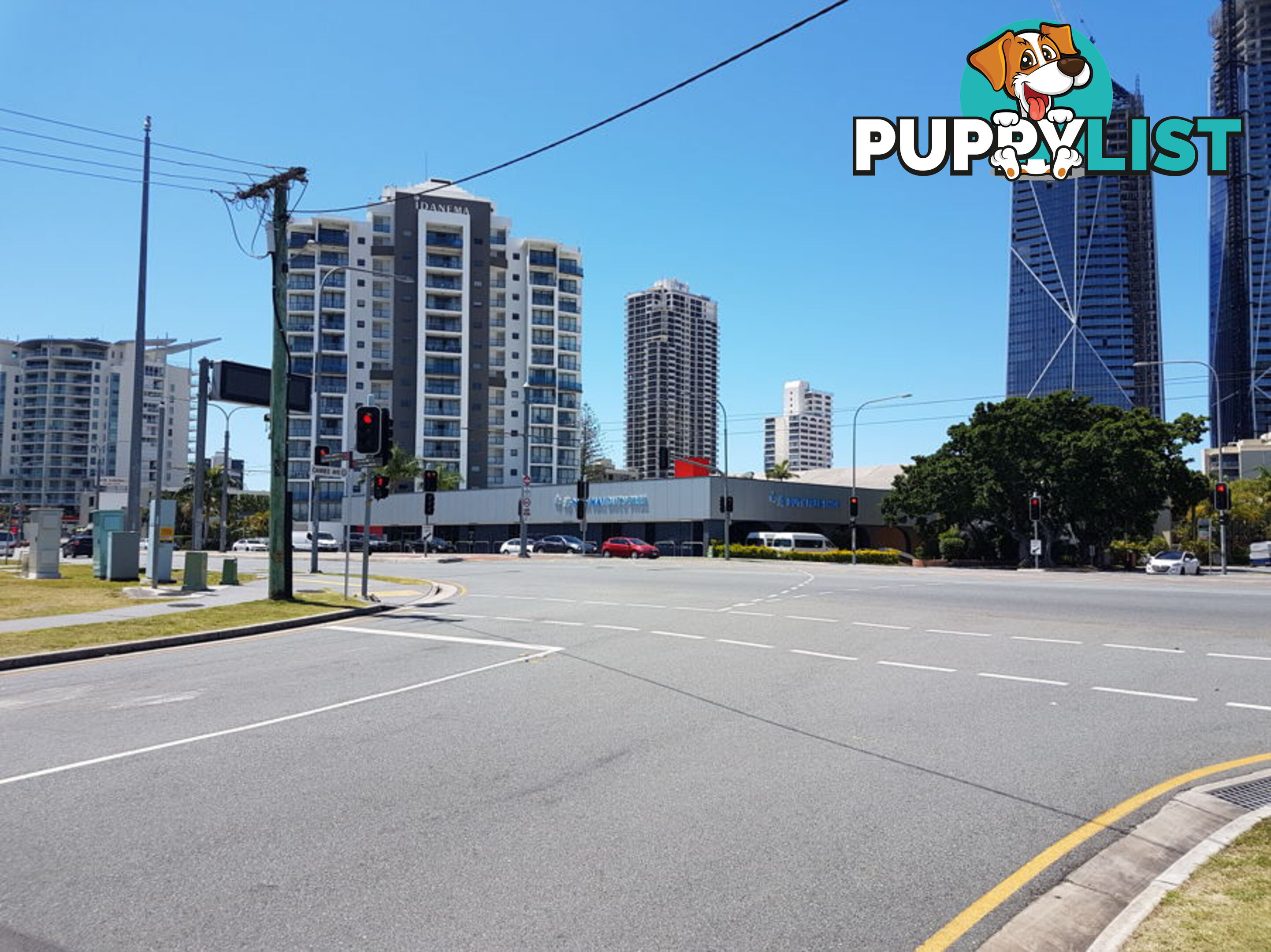 17 Genoa Street SURFERS PARADISE QLD 4217