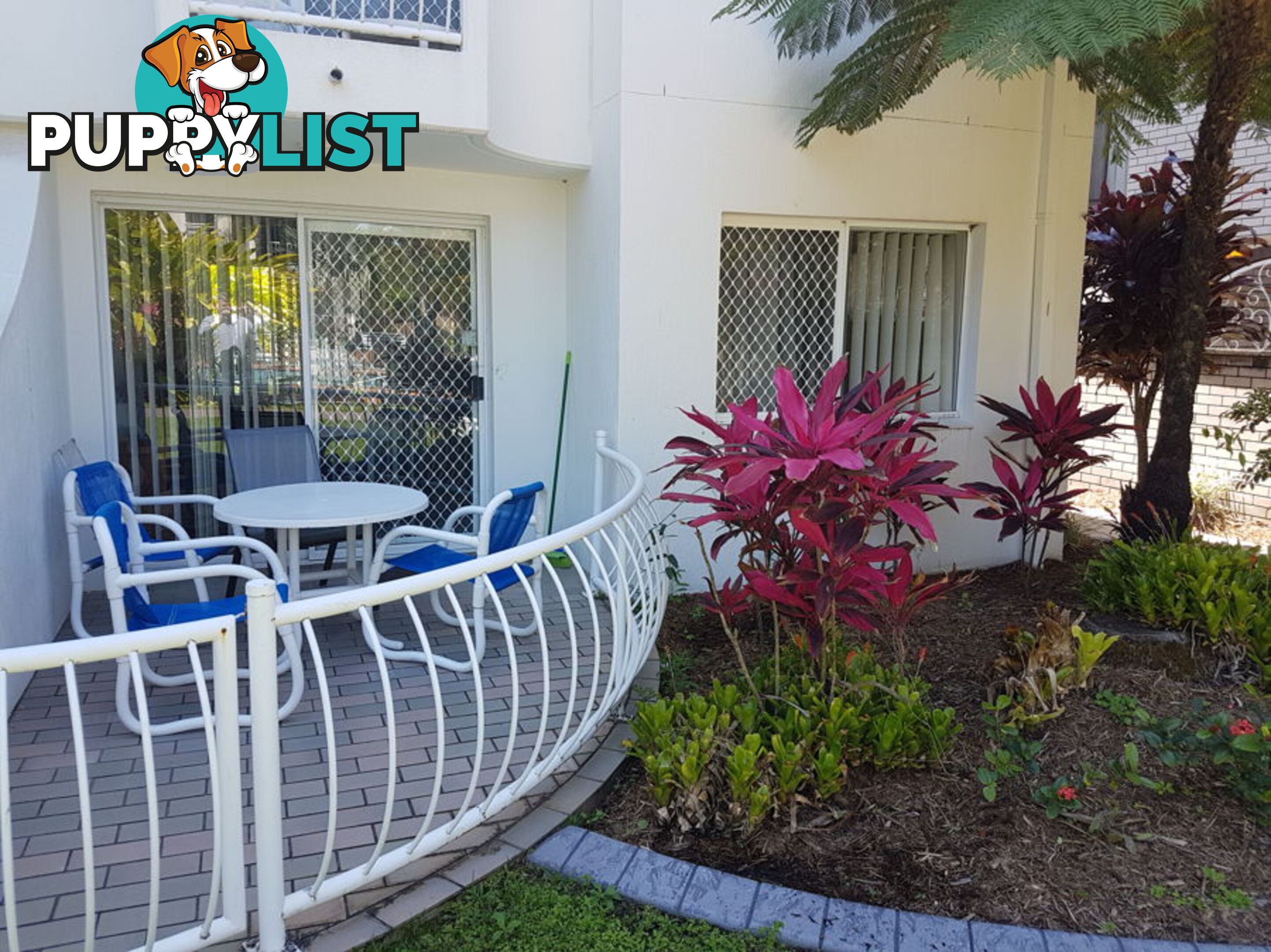 17 Genoa Street SURFERS PARADISE QLD 4217