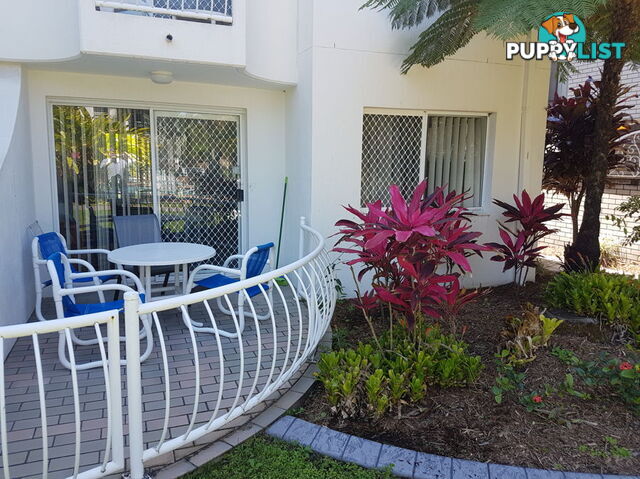 17 Genoa Street SURFERS PARADISE QLD 4217