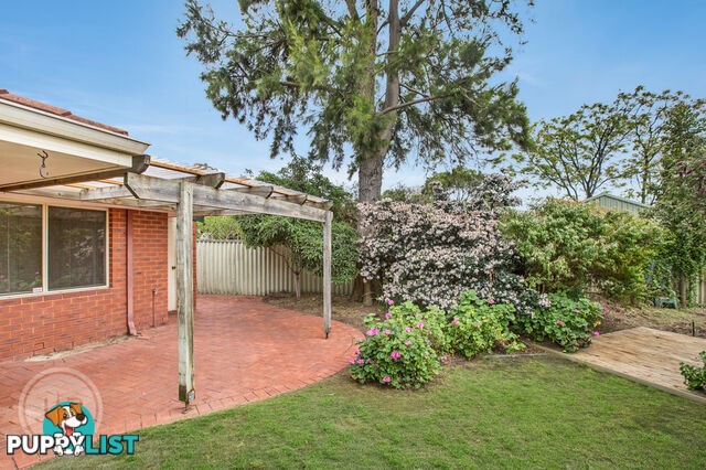 20 Griffin Crescent MANNING WA 6152