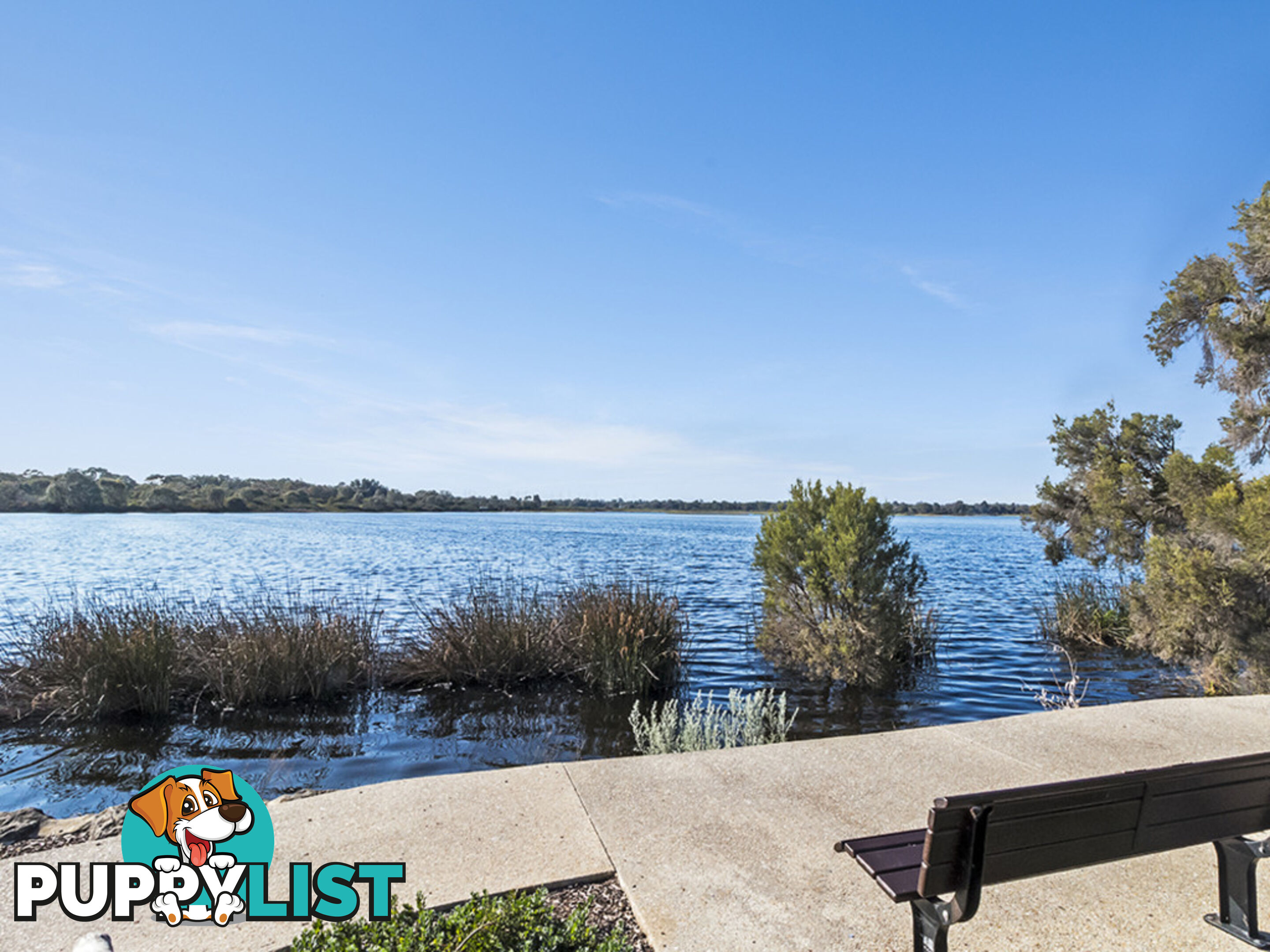 49 Meller Road BIBRA LAKE WA 6163