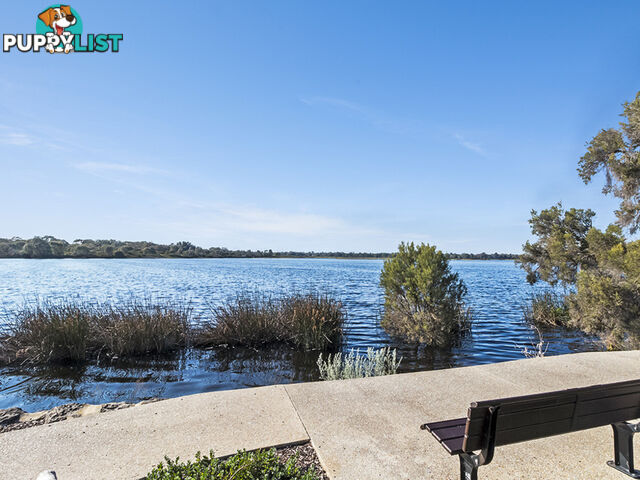 49 Meller Road BIBRA LAKE WA 6163