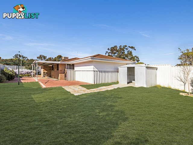 49 Meller Road BIBRA LAKE WA 6163