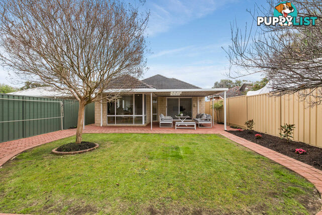 43a Cloister Avenue MANNING WA 6152