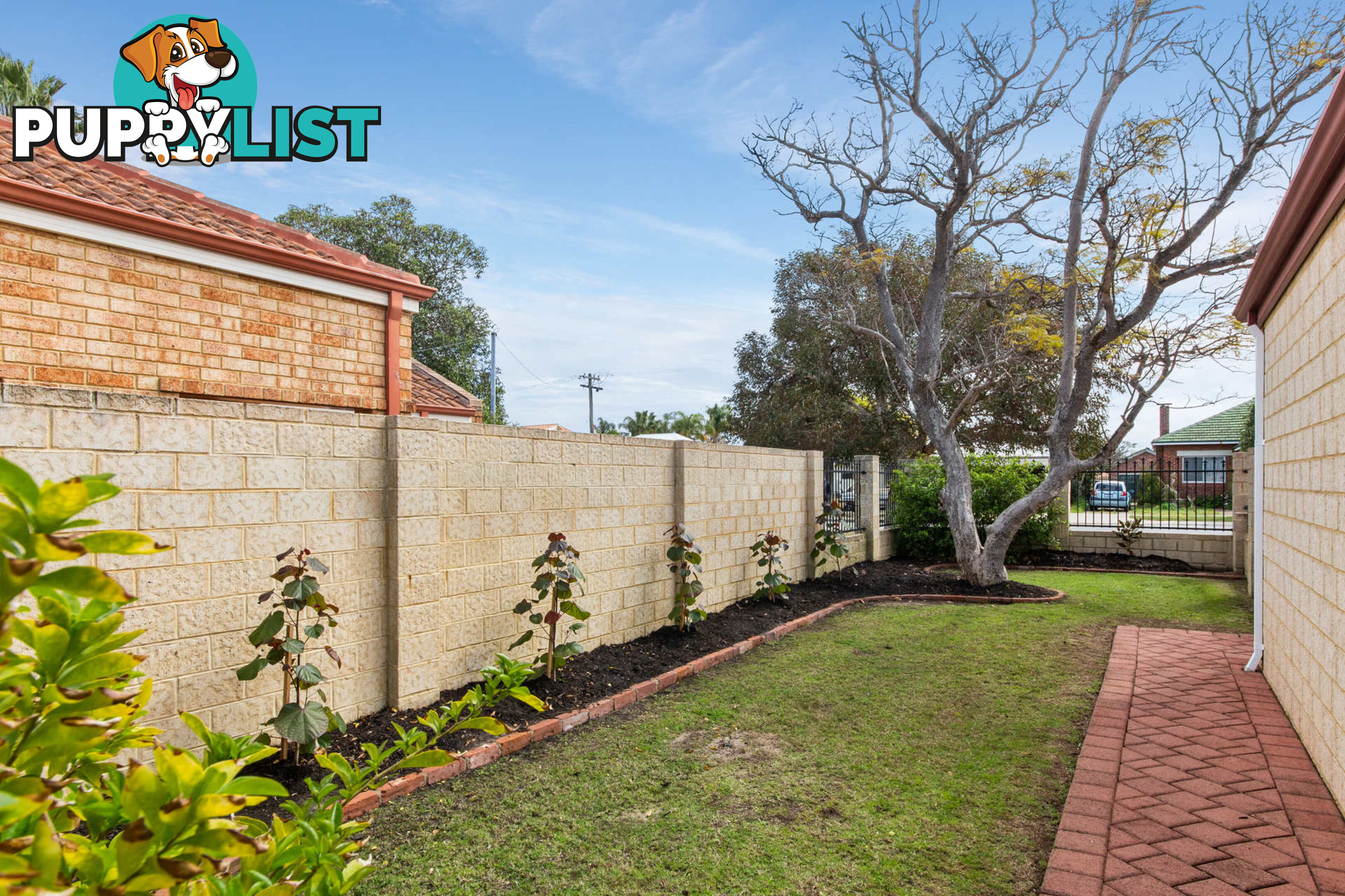 43a Cloister Avenue MANNING WA 6152