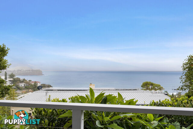 1/98 Bungan Head Road NEWPORT NSW 2106