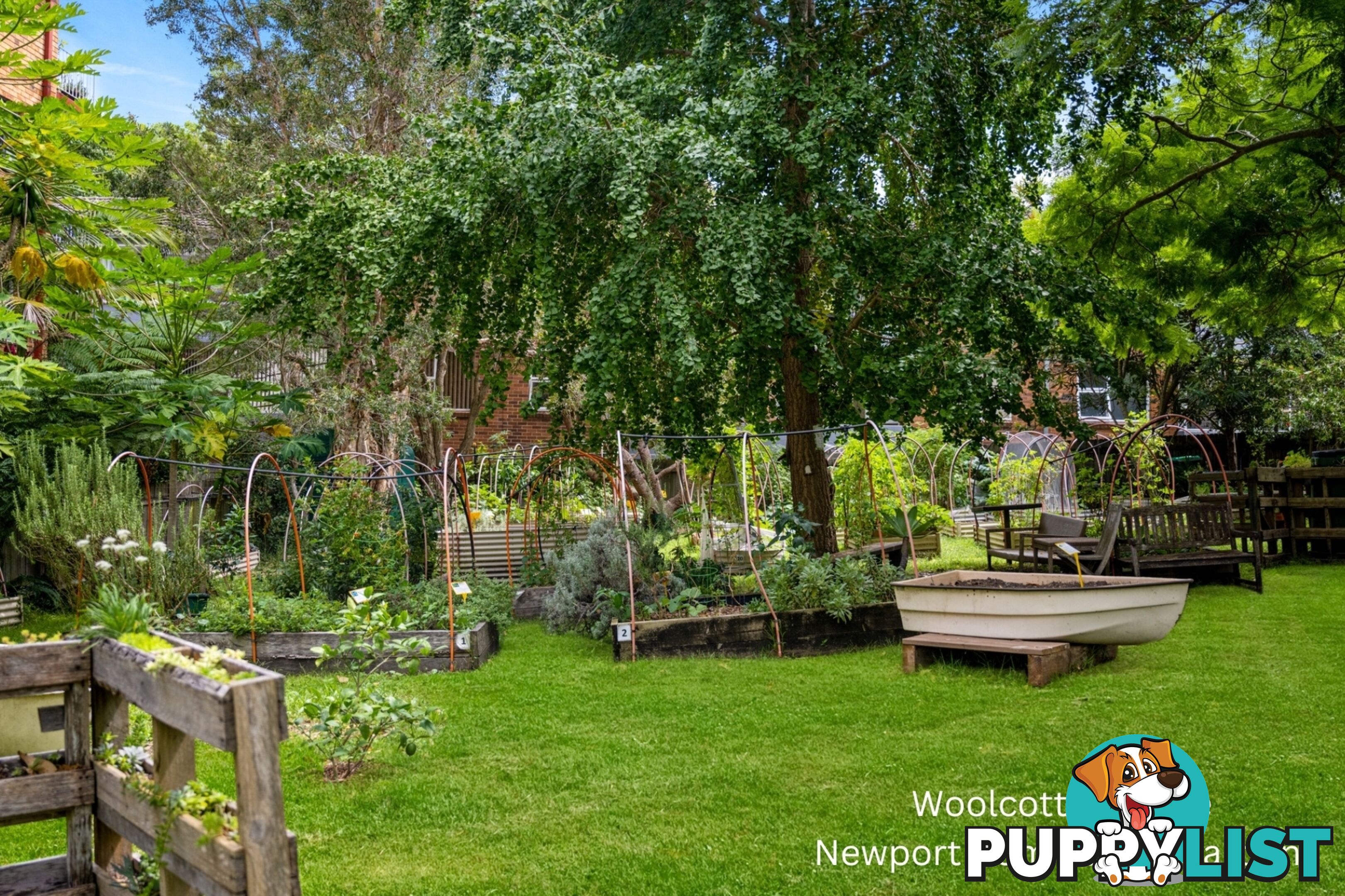 1/1 Woolcott Street NEWPORT NSW 2106