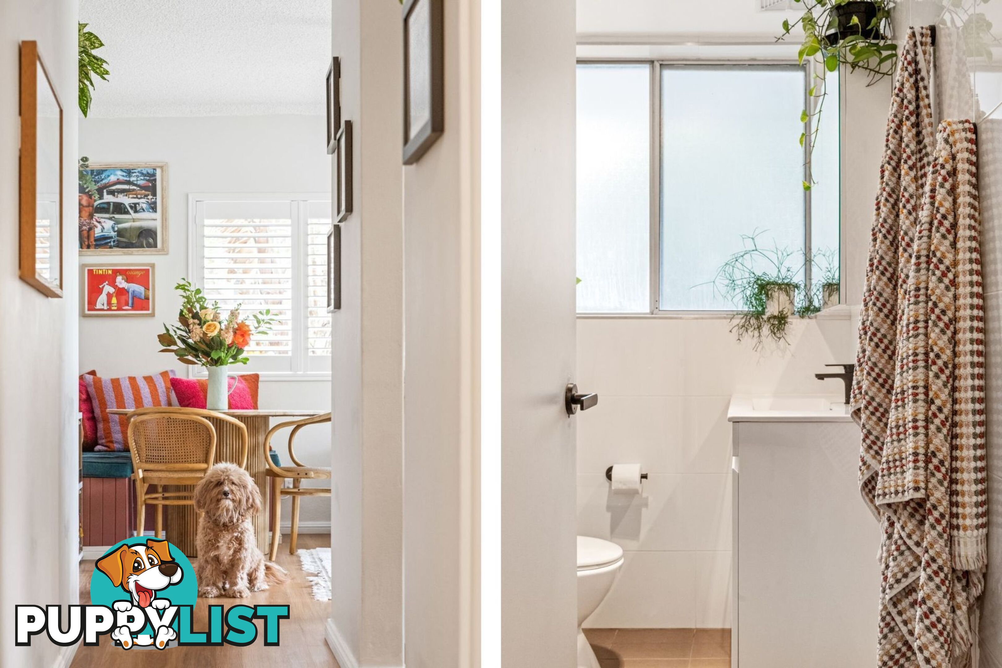 1/1 Woolcott Street NEWPORT NSW 2106