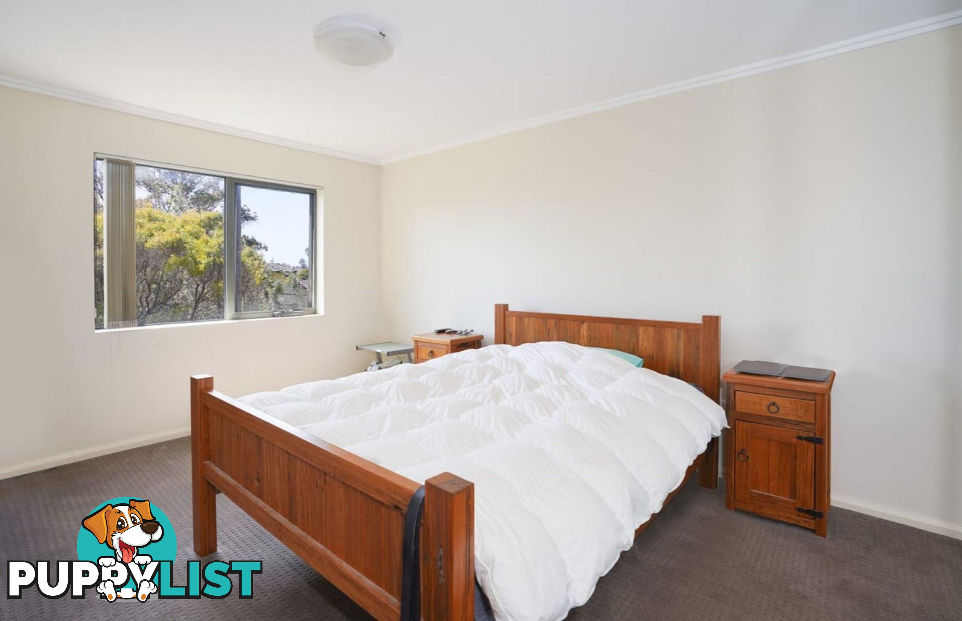 16/14-20 The Avenue COLLAROY NSW 2097