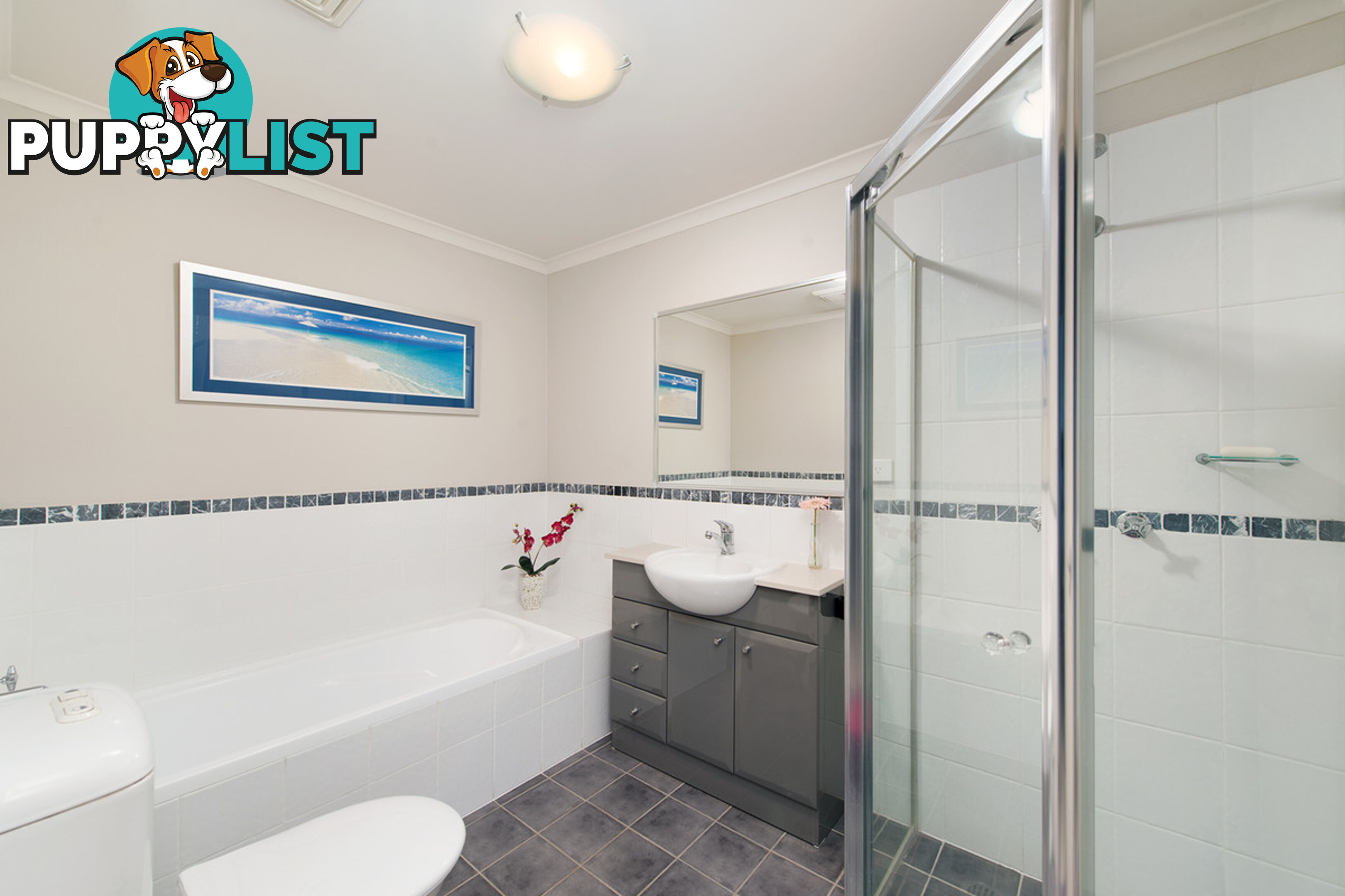 12/49-51 Foamcrest Avenue NEWPORT NSW 2106