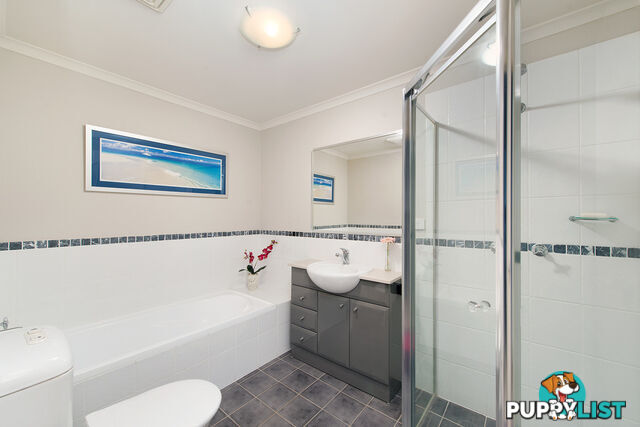 12/49-51 Foamcrest Avenue NEWPORT NSW 2106