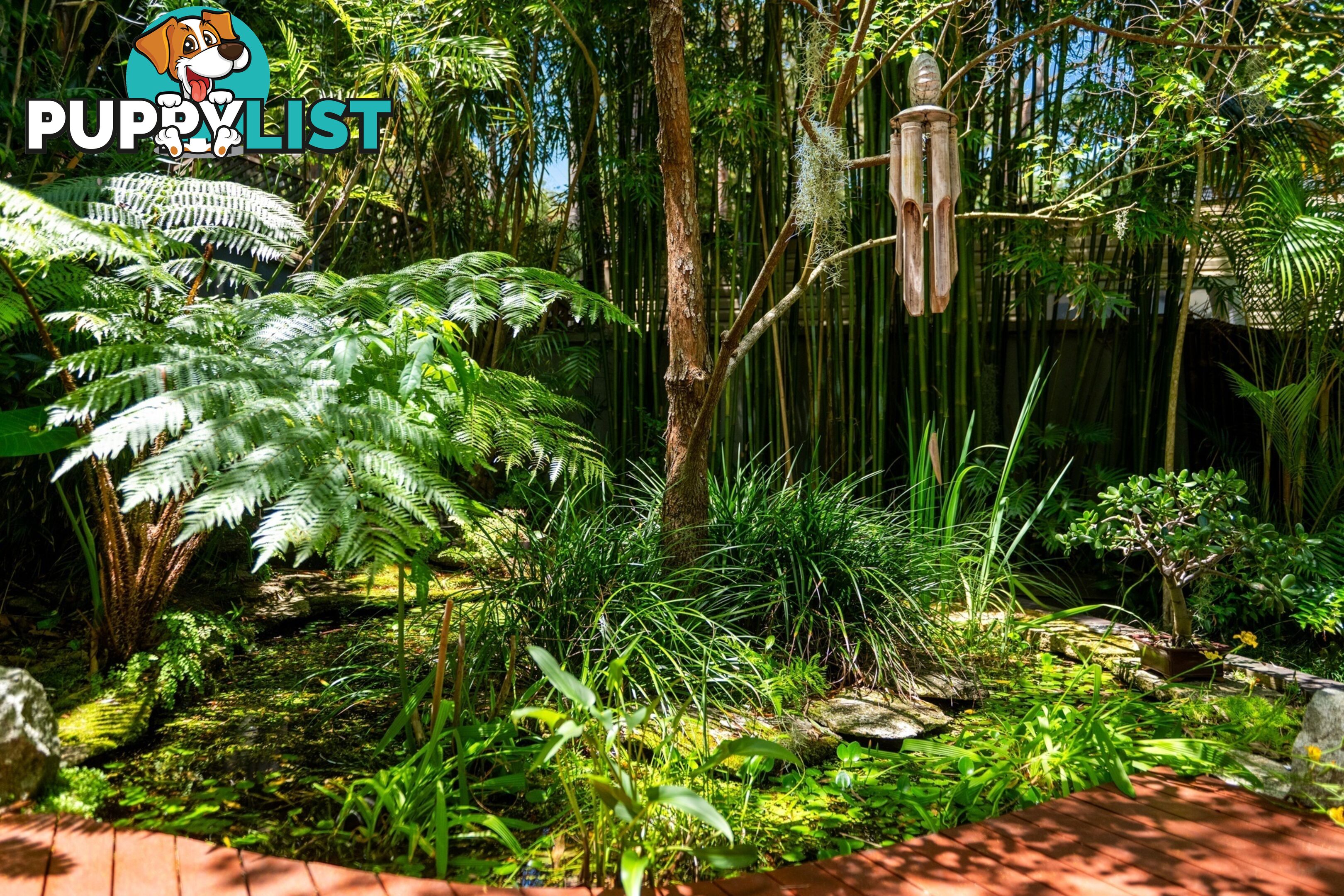 5 Mirrabooka Street BILGOLA PLATEAU NSW 2107