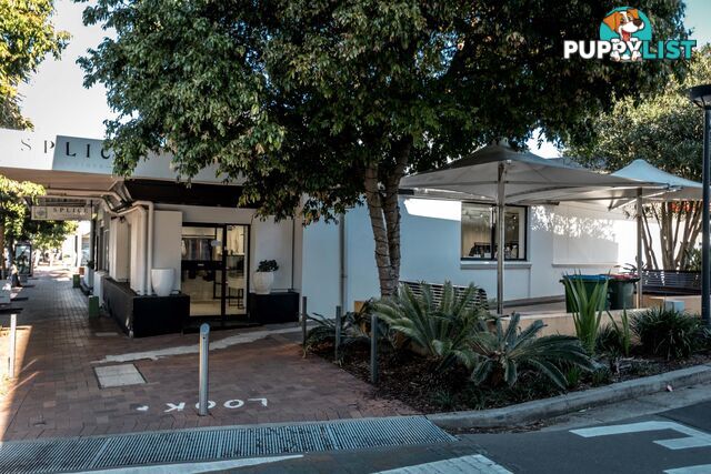 6/58 Gladstone Street NEWPORT NSW 2106