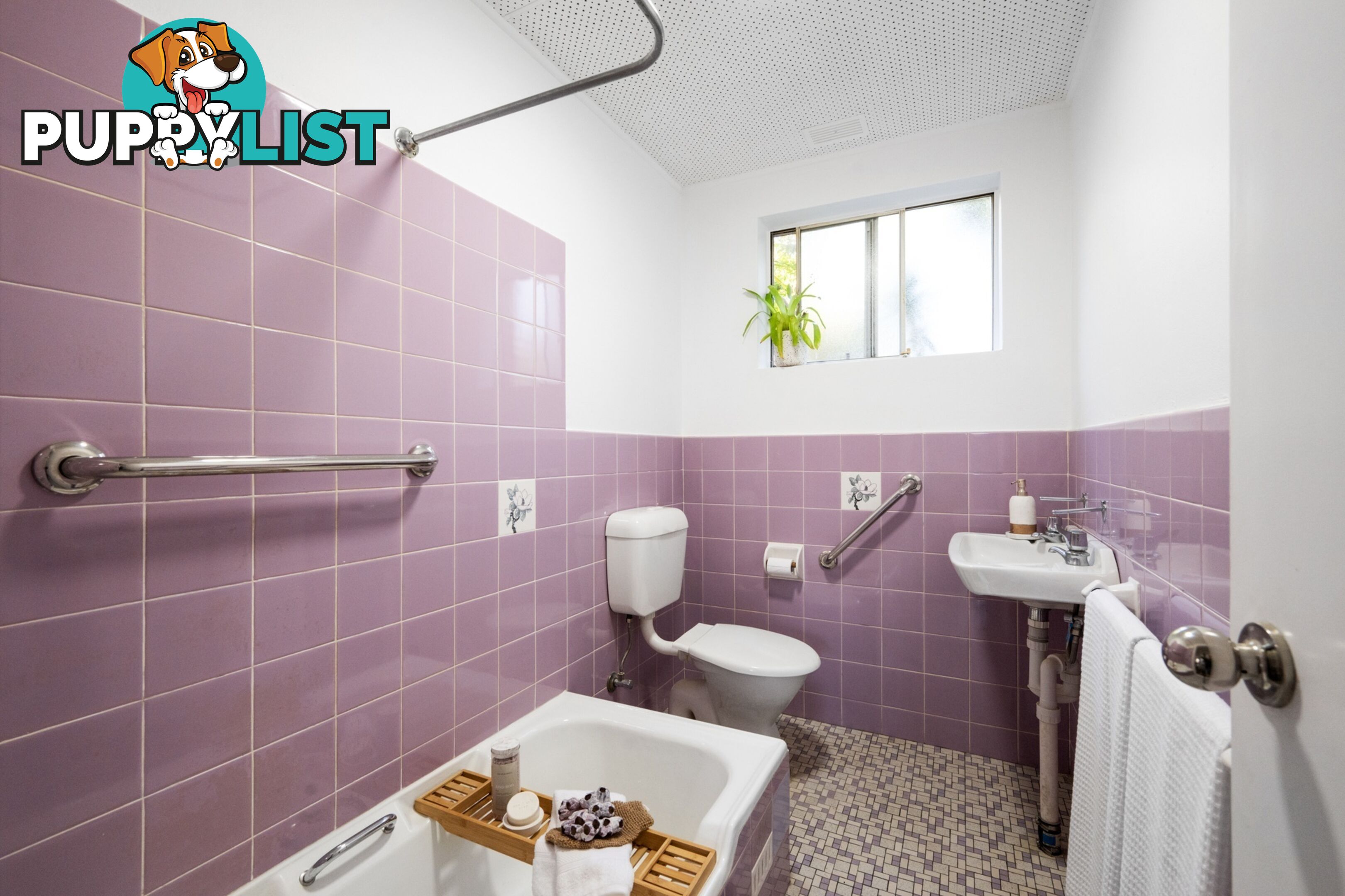 2/28 Bardo Road NEWPORT NSW 2106