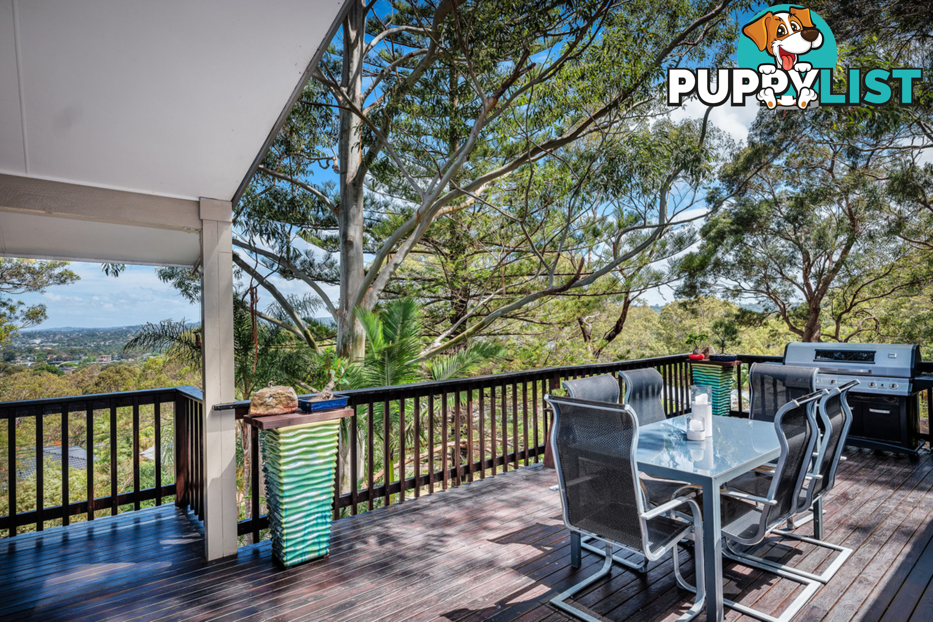 38 Wallumatta Road NEWPORT NSW 2106