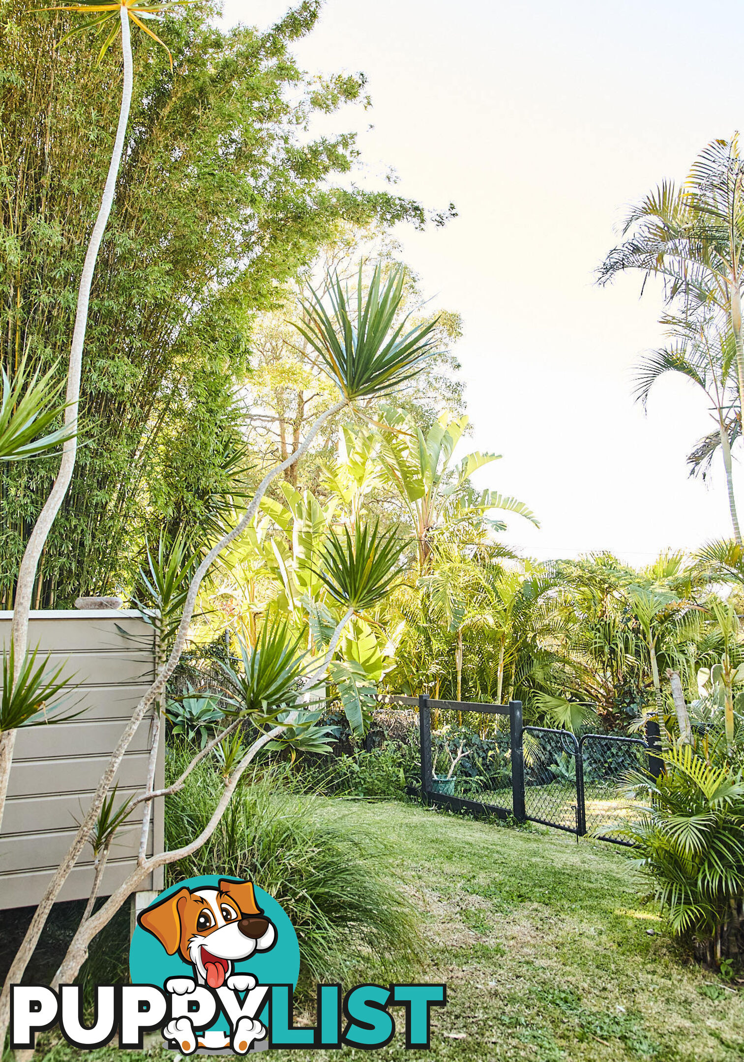23 York Terrace BILGOLA PLATEAU NSW 2107