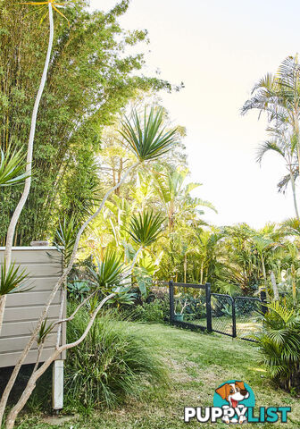 23 York Terrace BILGOLA PLATEAU NSW 2107