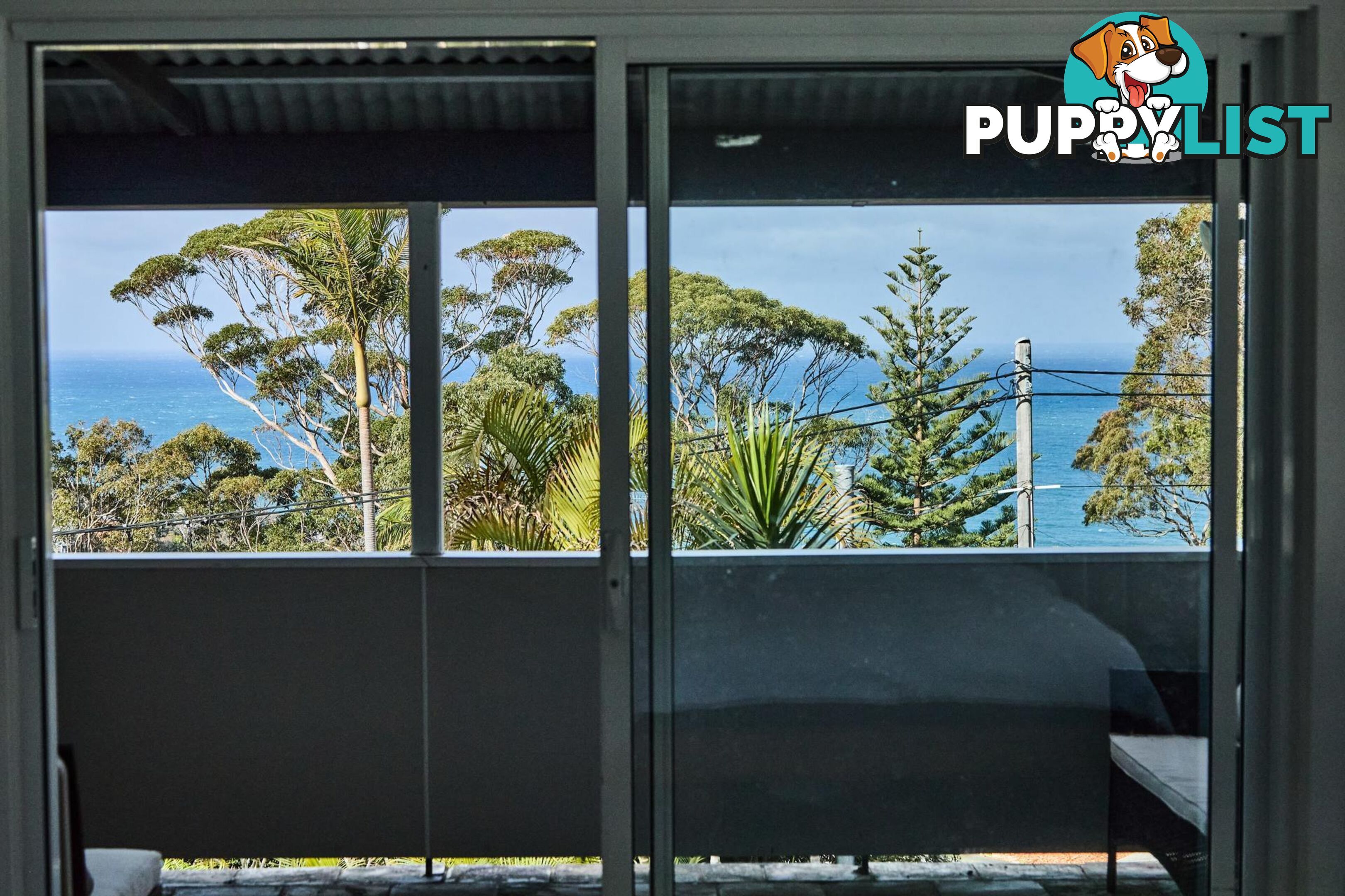 23 York Terrace BILGOLA PLATEAU NSW 2107