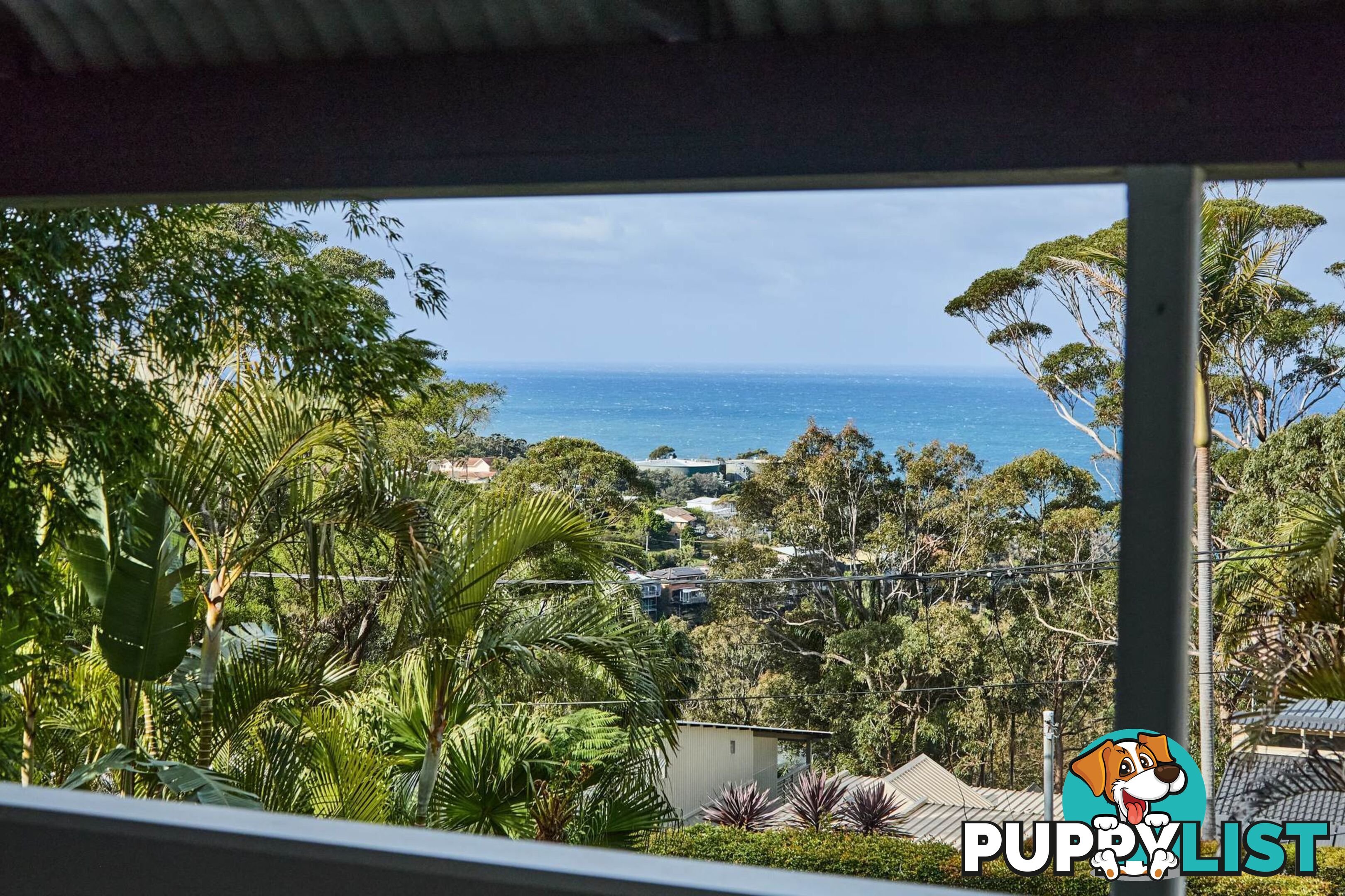 23 York Terrace BILGOLA PLATEAU NSW 2107