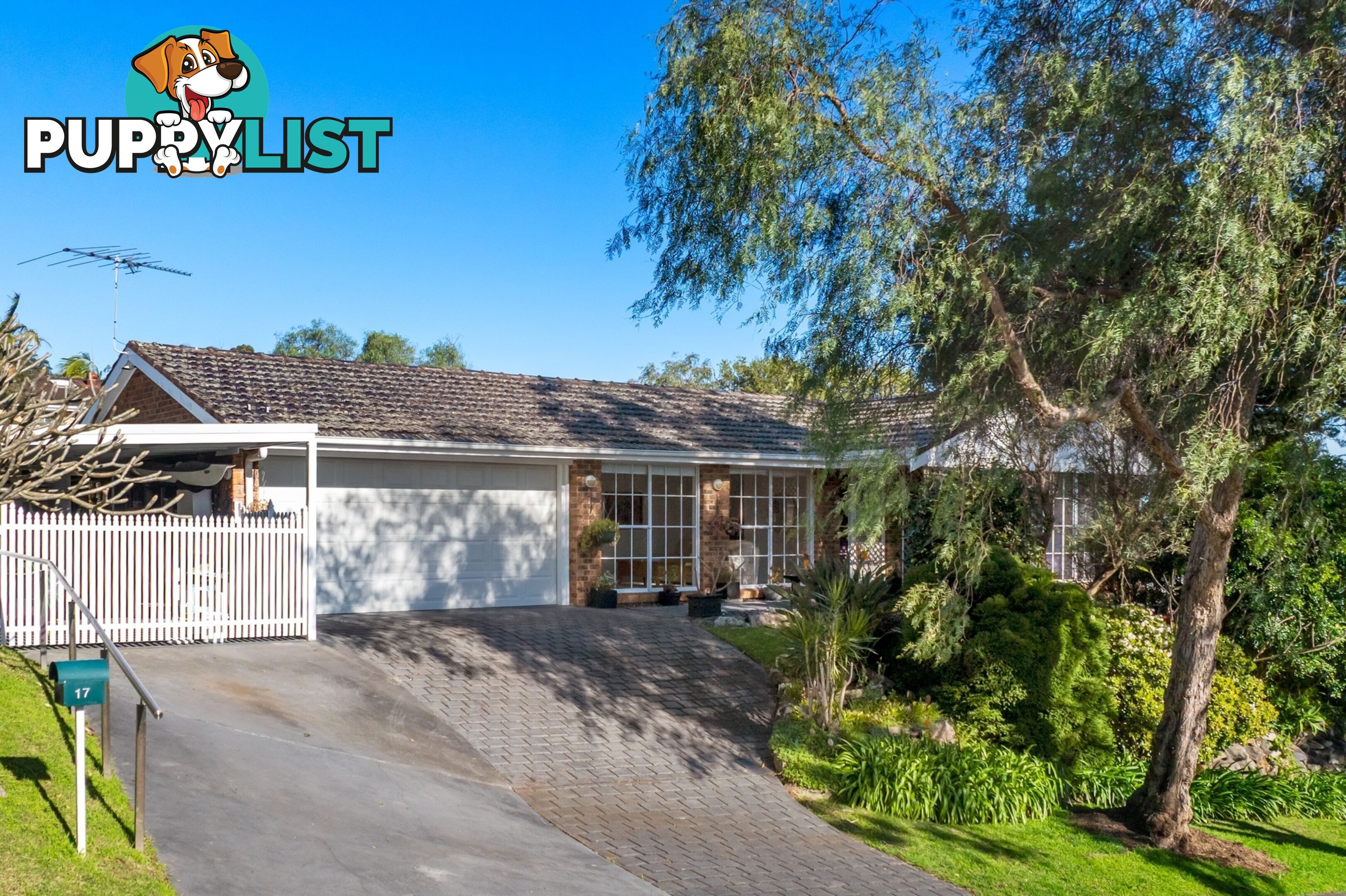 17 Bangalow Avenue MONA VALE NSW 2103
