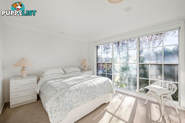 17 Bangalow Avenue MONA VALE NSW 2103