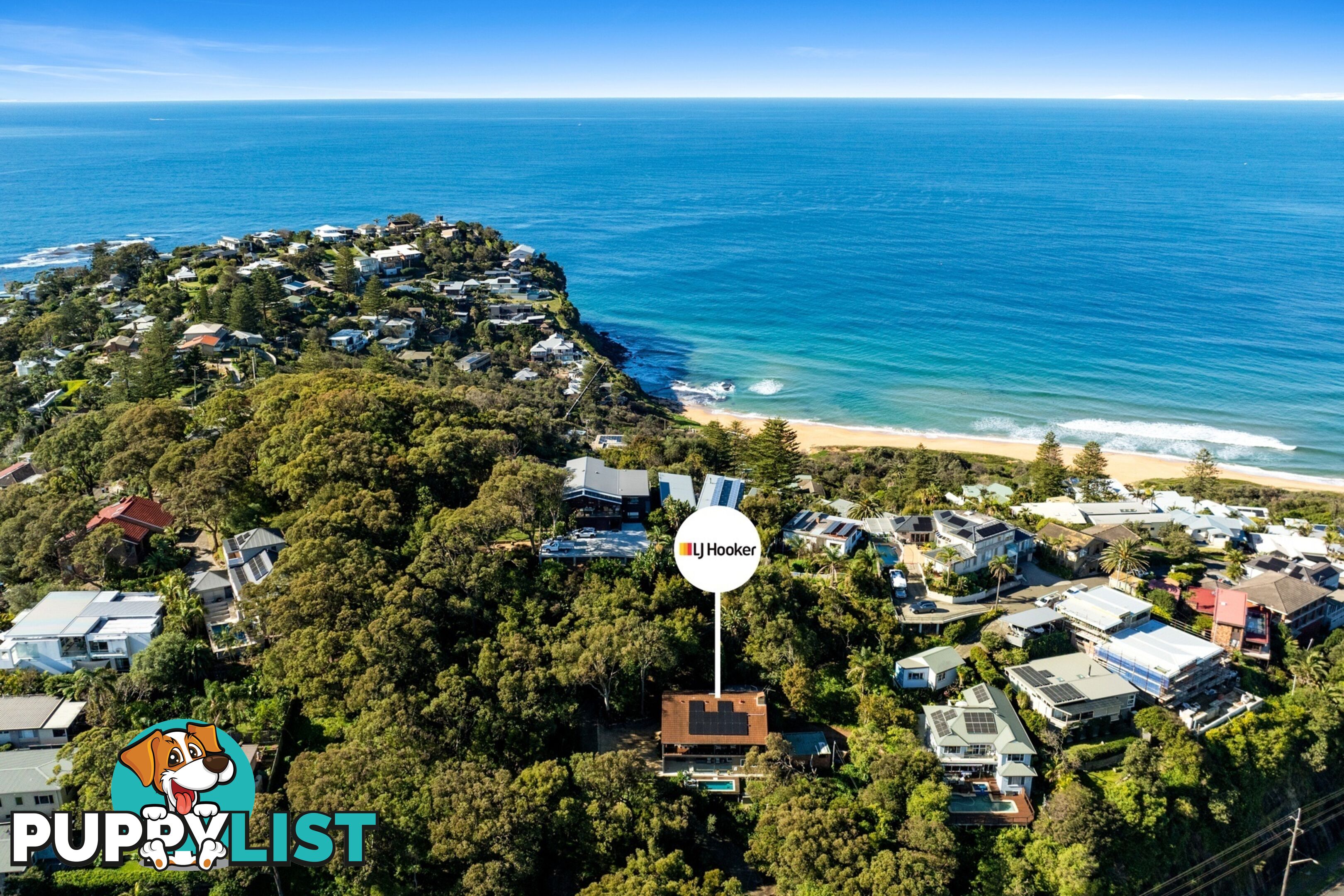 228 Barrenjoey Road NEWPORT NSW 2106