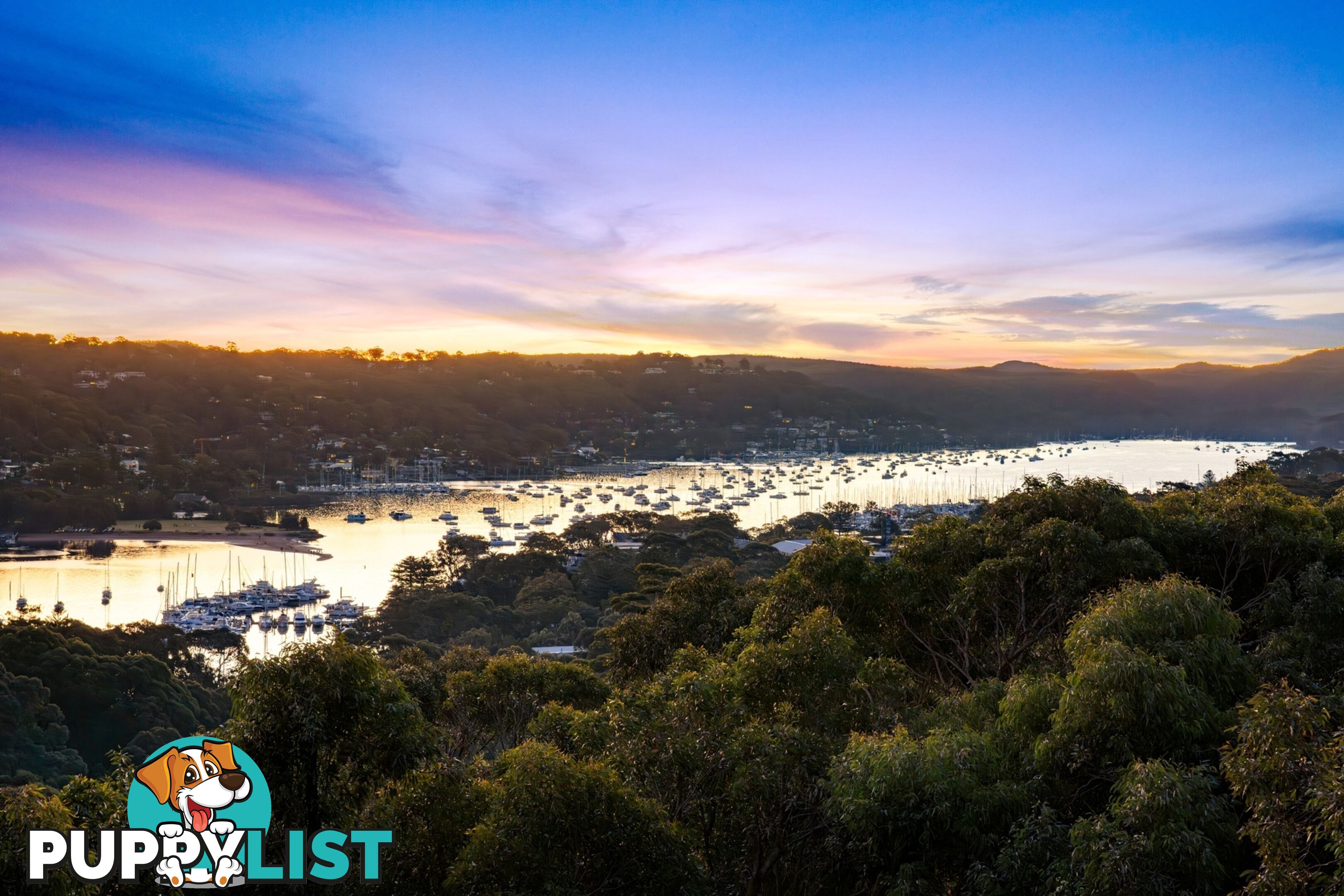 228 Barrenjoey Road NEWPORT NSW 2106