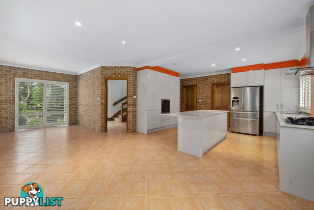 55 Patrick Street AVALON NSW 2107