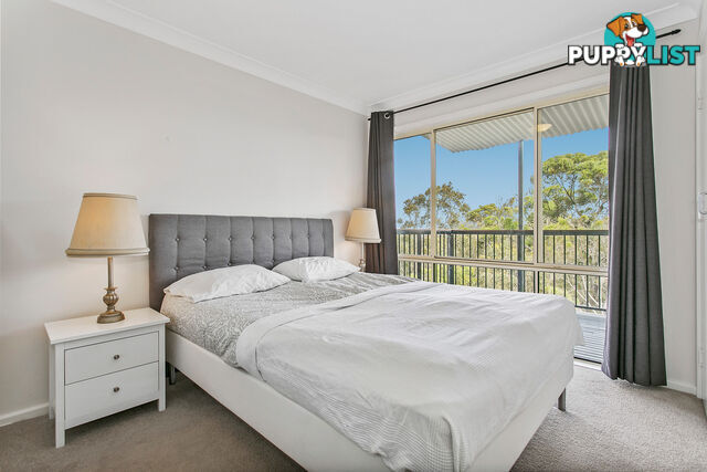 61 Cheryl Crescent NEWPORT NSW 2106