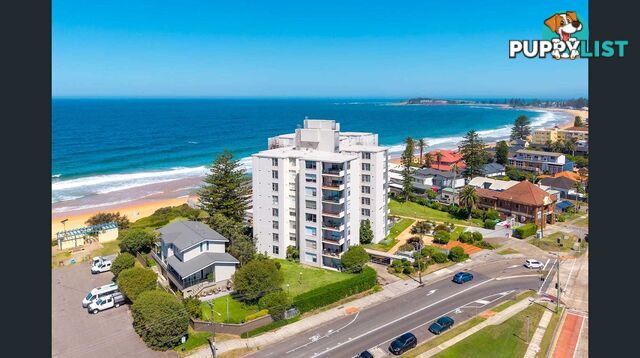 48/11 Ocean Street NARRABEEN NSW 2101