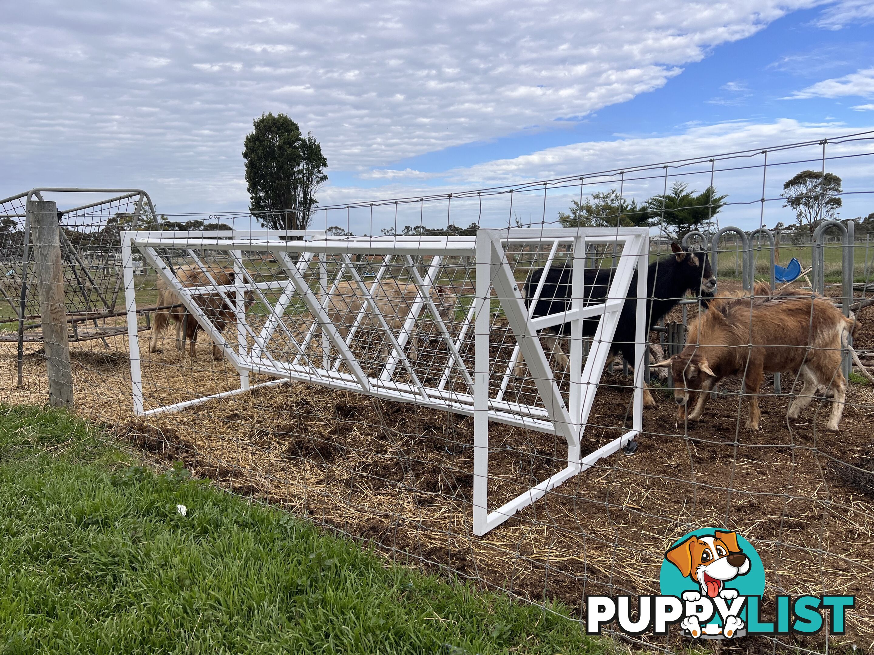 Cattle hay feeders