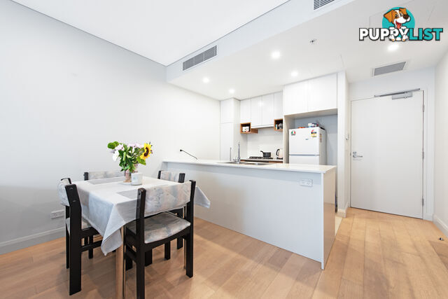 1307/29 East Street GRANVILLE NSW 2142