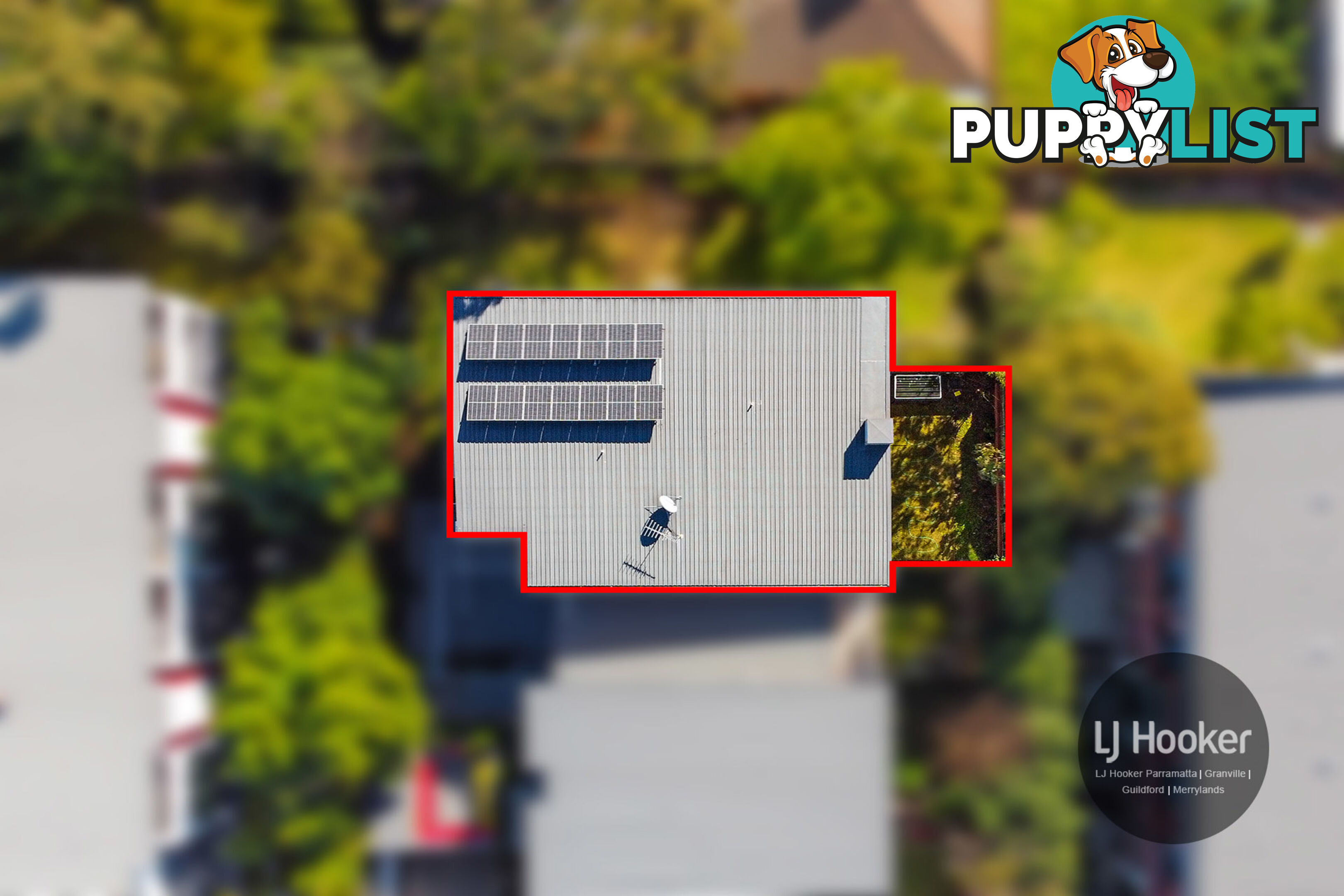 14/201-203 William Street GRANVILLE NSW 2142