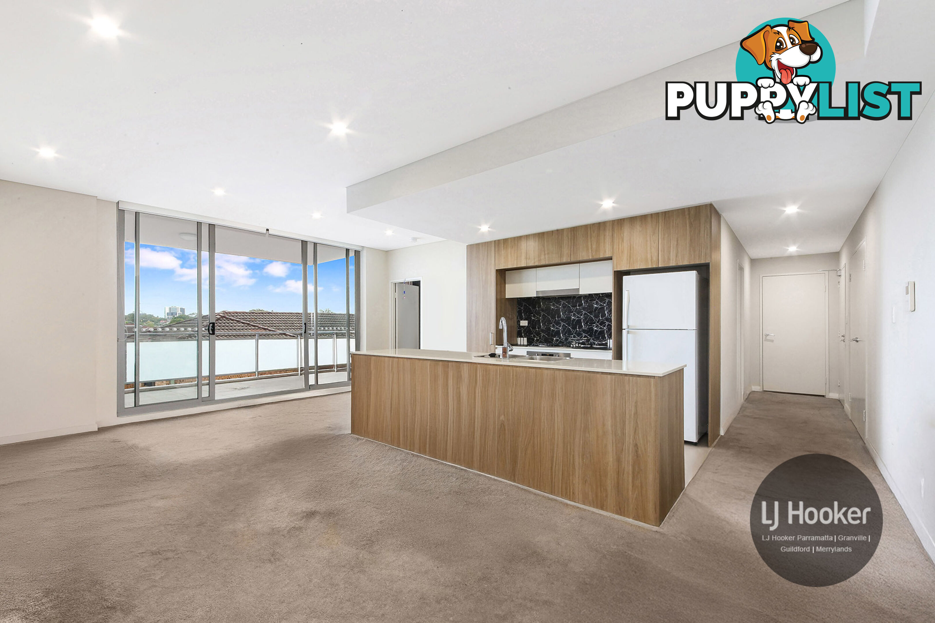 208/18 Louis Street GRANVILLE NSW 2142